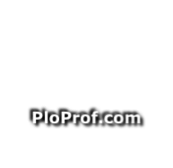 PloProf.com
